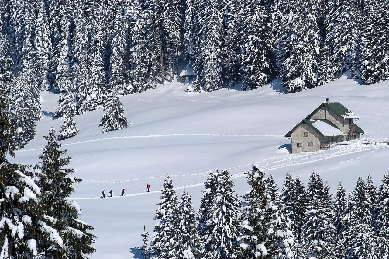 Alpine Smart Residence Folgaria Bagian luar foto