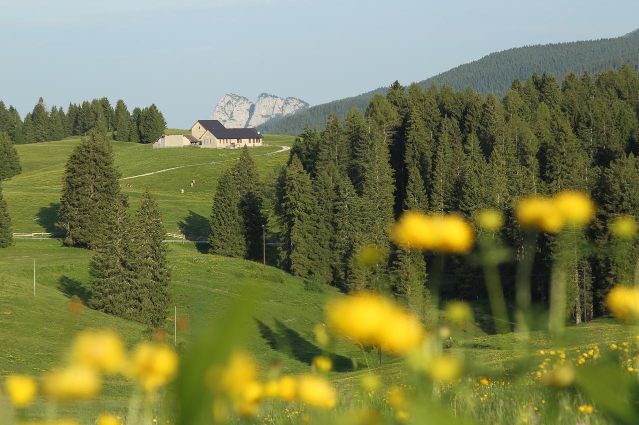 Alpine Smart Residence Folgaria Bagian luar foto